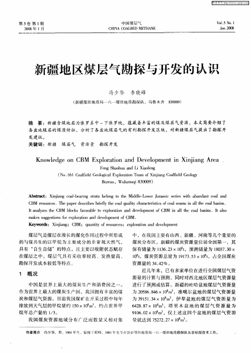 新疆地区煤层气勘探与开发的认识