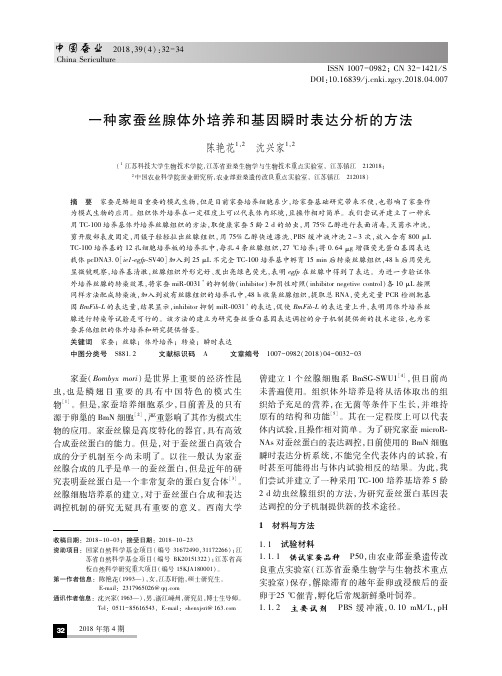 一种家蚕丝腺体外培养和基因瞬时表达分析的方法