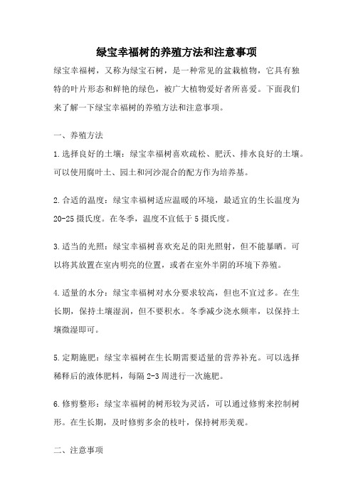 绿宝幸福树的养殖方法和注意事项