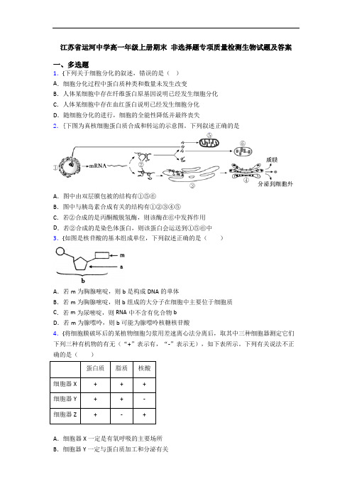 江苏省运河中学高一年级上册期末 非选择题专项质量检测生物试题及答案