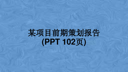 某项目前期策划报告(PPT 102页)