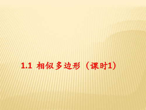 2018-2019学年青岛版《数学》九年级上册：1.1相似多边形(1)  课件