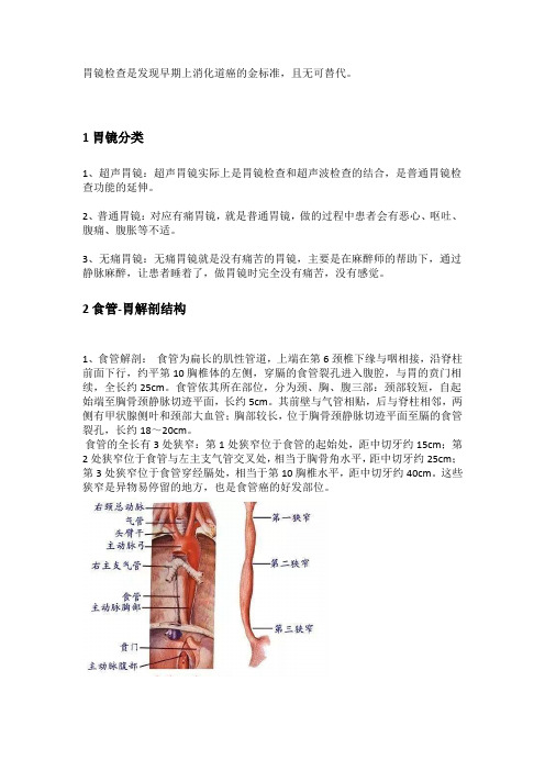 胃镜检查相关知识