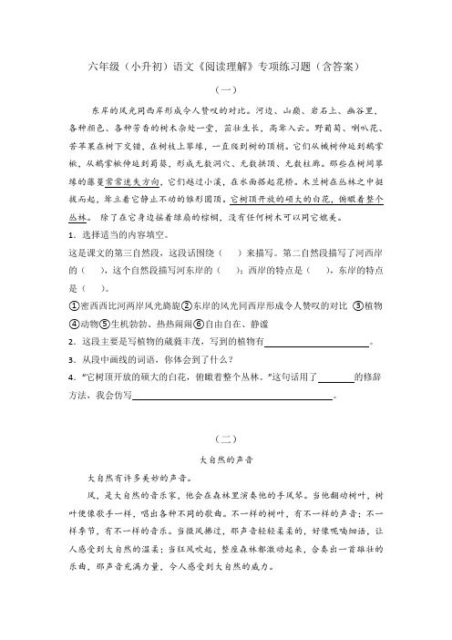 六年级语文下册试题 小升初《阅读理解》专项练习题(含答案)部编版