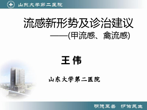 流感新形势及诊治建议PPT