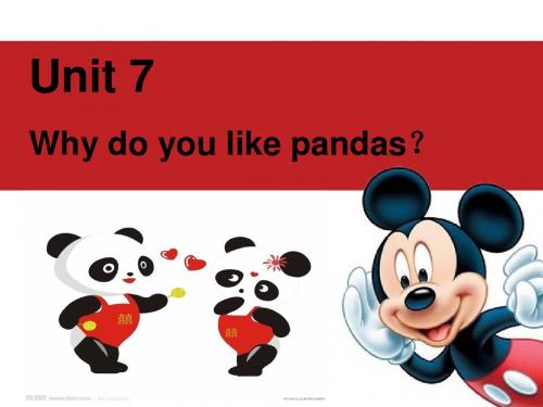 六下英语Unit7 Why do you like pandas？