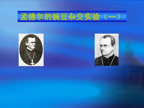 高一生物孟德尔的豌豆杂交实验