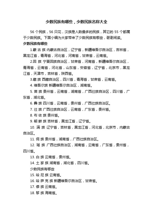 少数民族有哪些，少数民族名称大全