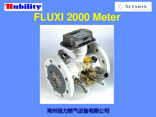 FLUXI2000TZ涡轮流量计