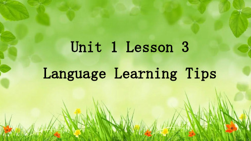 北师大版英语九年级全册 Unit 1 Lesson 3  课件