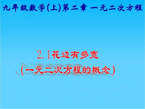 九年级数学(上)第二章 2.1花边有多宽 一元二次方程的概念精品课件 北师大版