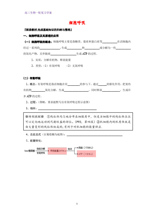 高三生物一轮复习精品学案9:细胞呼吸