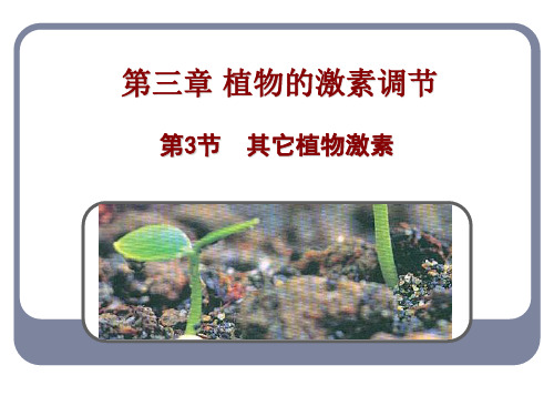 人教版高中生物必修其他植物激素公开课优秀ppt课件