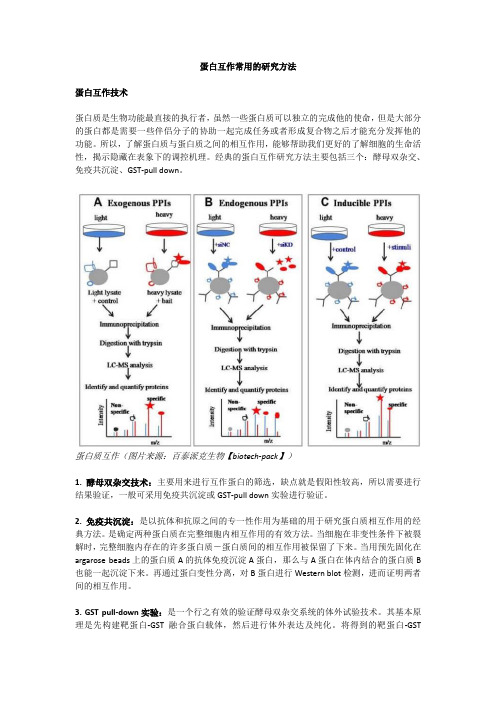 蛋白互作常用的研究方法