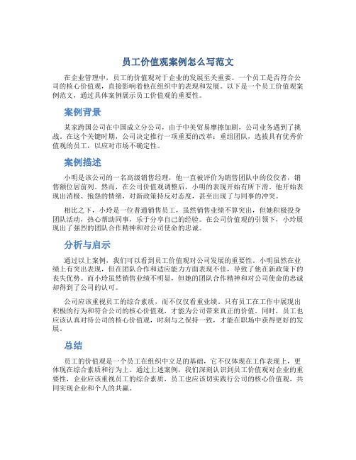 员工价值观案例怎么写范文