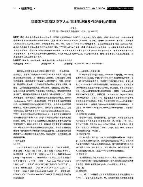 脂联素对高糖环境下人心肌细胞增殖及VEGF表达的影响