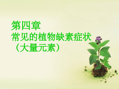 常见的植物缺素症状(大量元素)