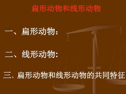 扁形动物和线形动物PPT课件 人教版