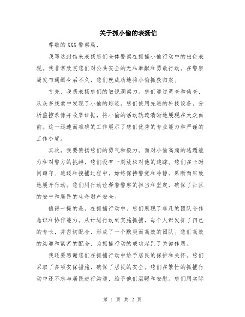 关于抓小偷的表扬信