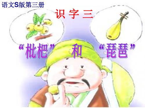 识字三枇杷和琵琶课件