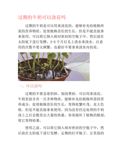 过期的牛奶可以浇花吗-养花技巧