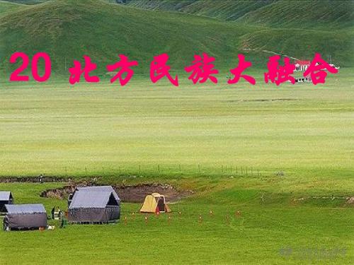 北方民族大融合PPT优秀课件25 人教版