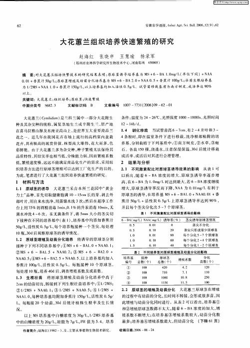 大花蕙兰组织培养快速繁殖的研究