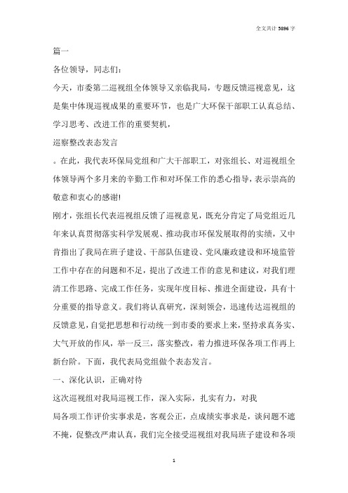 巡视问题整改表态发言三篇