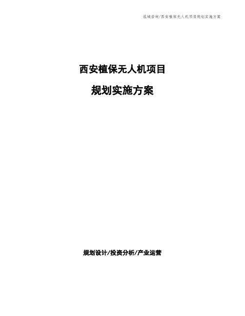 西安植保无人机项目规划实施方案