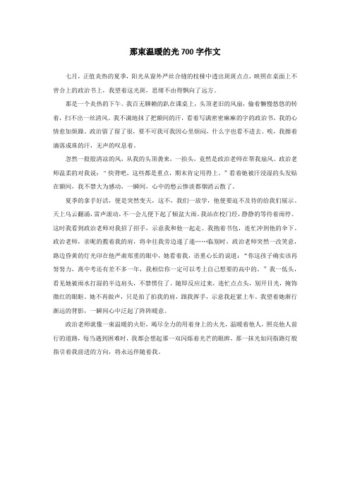 那束温暖的光700字作文