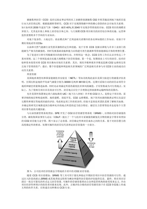 CCS绿色生态综合解决方案