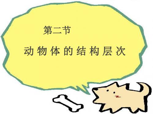 七上2-2动物体的结构层次