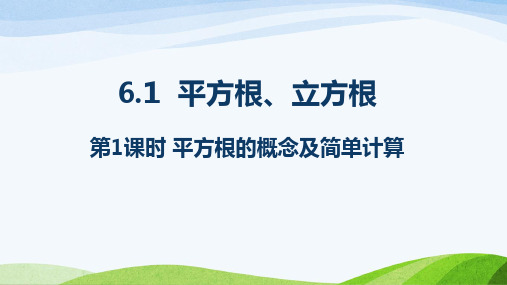 上海科技版(沪科版)初中数学七年级下册全册教学课件