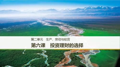 2018年高考政治复习：必修一  2.6投资理财的选择