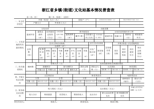 浙江省乡镇(街道)文化站基本情况普查表