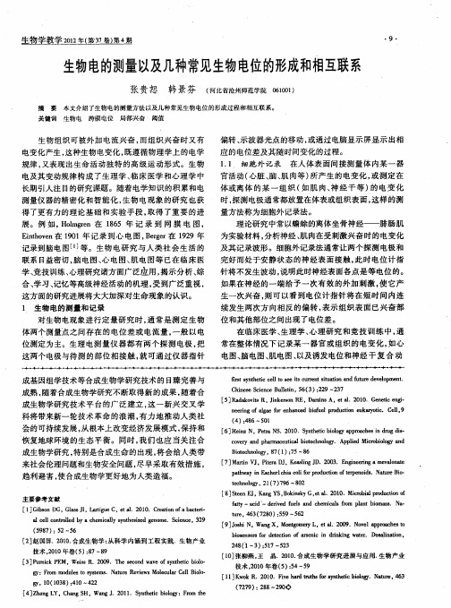 生物电的测量以及几种常见生物电位的形成和相互联系