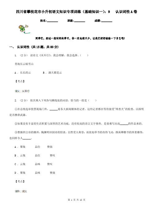 四川省攀枝花市小升初语文知识专项训练(基础知识一)：9   认识词性A卷