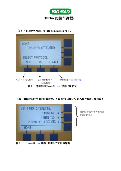 Turbo使用指南