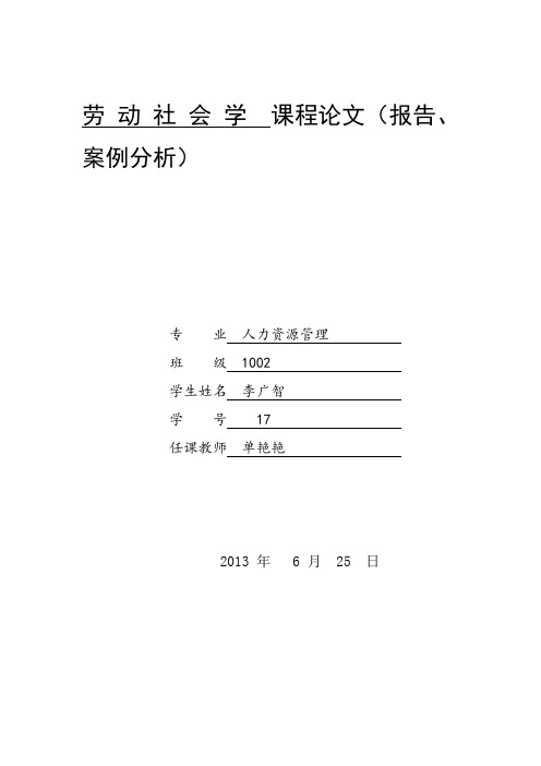 劳动社会学课程论文