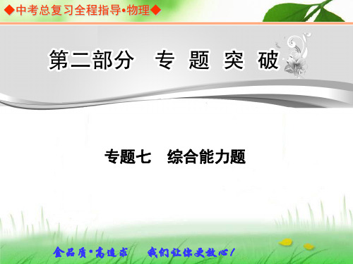 中考总复习专题突破专题七综合能力题