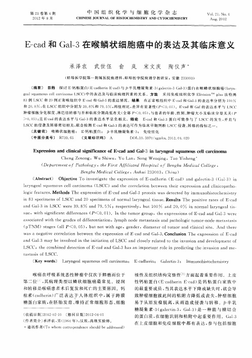 E-cad和Gal-3在喉鳞状细胞癌中的表达及其临床意义