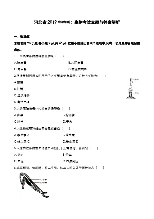 河北省2019年中考：生物考试真题与答案解析