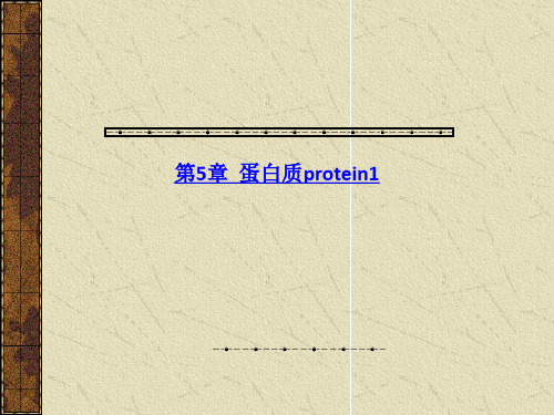 第5章  蛋白质protein-PPT课件