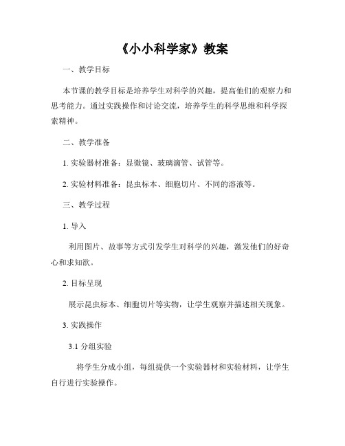 《小小科学家》教案