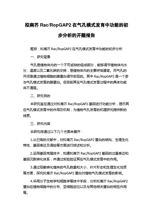 RopGAP2在气孔模式发育中功能的初步分析的开题报告