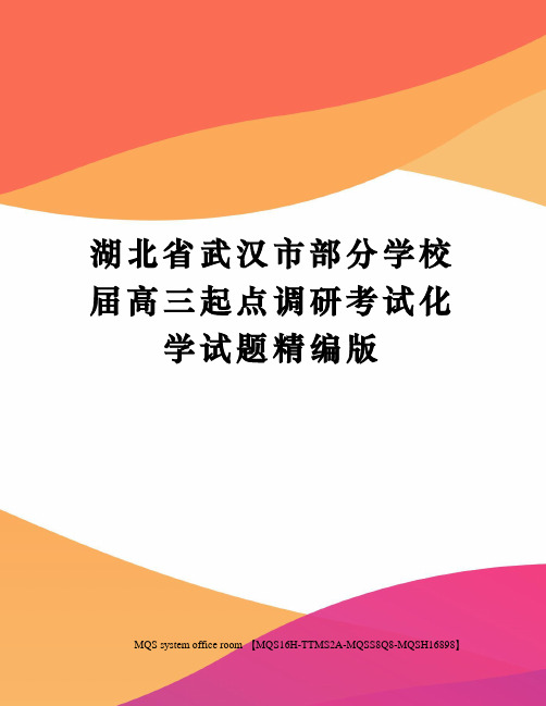 湖北省武汉市部分学校届高三起点调研考试化学试题精编版