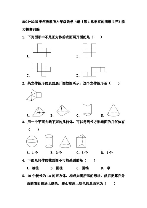 第1章丰富的图形世界+能力提高训练++2024-2025学年鲁教版(五四制)六年级数学上册+