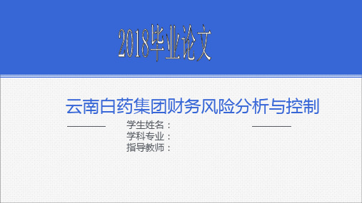 云南白药集团财务风险分析与控制答辩ppt