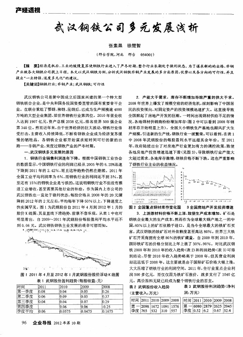 武汉钢铁公司多元发展浅析