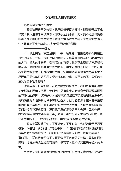 心之所向,无惧悲伤散文